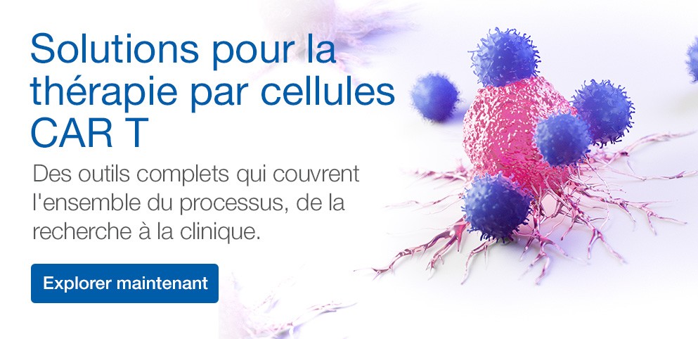 CAR T-Cell Therapy Solutions